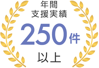 年間支援実績250件以上